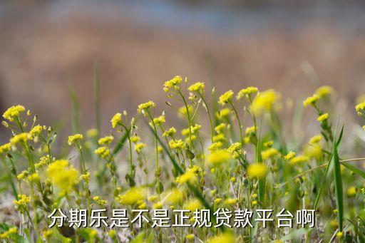 分期樂加盟費多少...